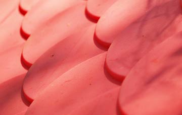 Nedging plastic roof costs
