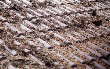 Nedging roof cleaning companies