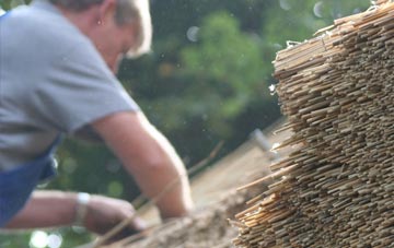 professional Nedging thatchers